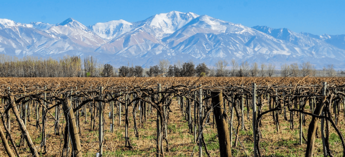 El brazo de Cuyo extendido