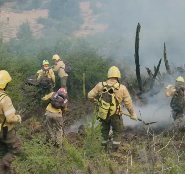 Lo nuevo de BAFILMA en 2026