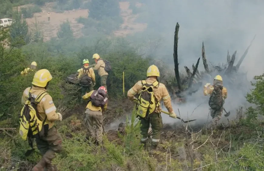 Lo nuevo de BAFILMA en 2026