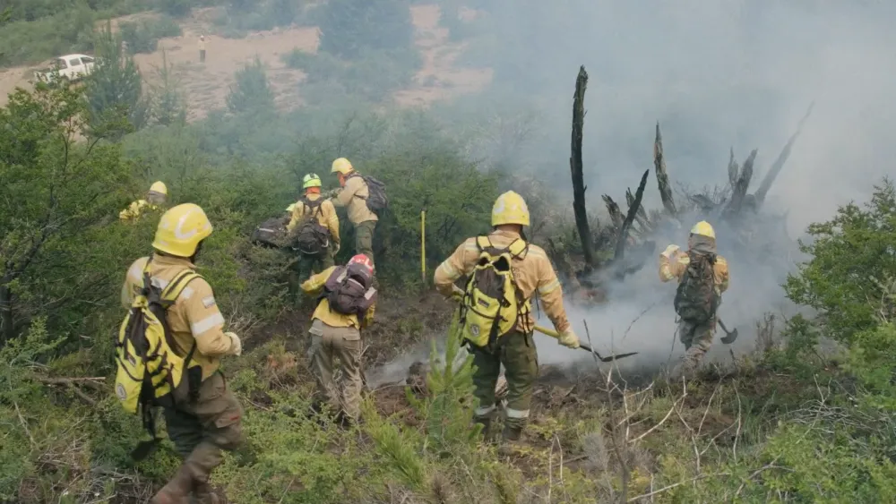 Lo nuevo de BAFILMA en 2026